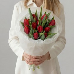 11 красных тюльпанов